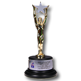 remi-silver-award